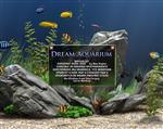   Dream Aquarium Screensaver 1.27 Final (2013/ML+RUS)